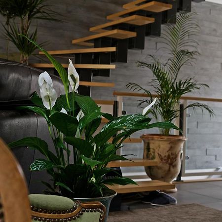 Superbe Appartement Au Coeur Du Jura Champagnole Luaran gambar