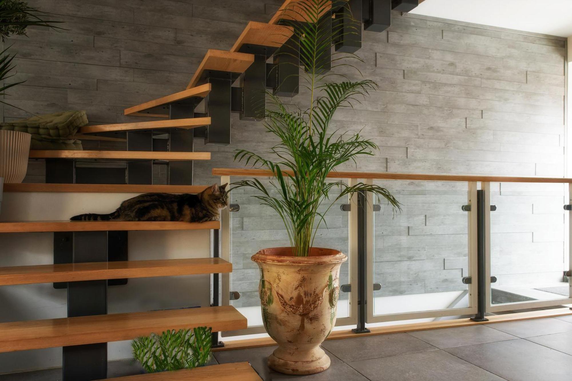 Superbe Appartement Au Coeur Du Jura Champagnole Luaran gambar